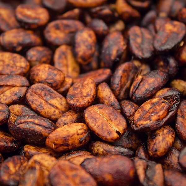 Robusta Roasted