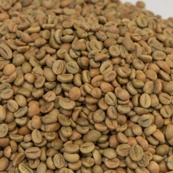 Green Bean Coffee From Vietnam